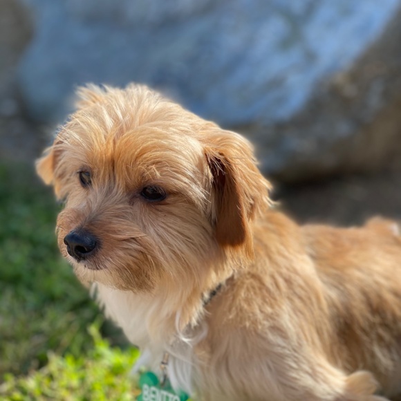 Meet your Posher, Jean - Picture 2 of 4